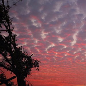 既非朋友也非恋人