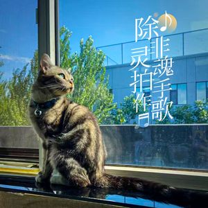 除非灵魂拍手作歌