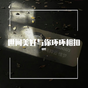 世间美好与你环环相扣