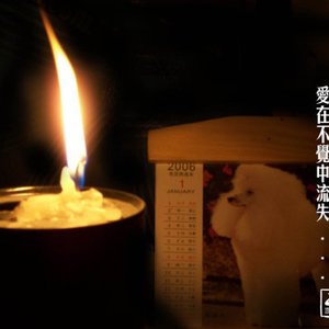 山之灵