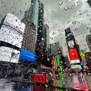 樱花树下的相遇