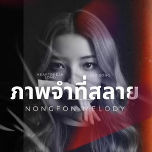 ภาพจำที่สลาย