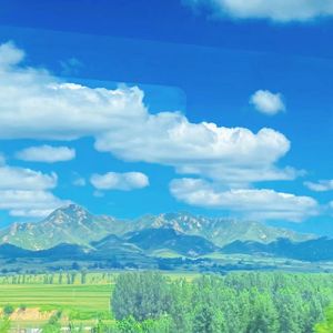 献给苦难中的善良灵魂