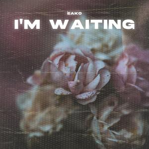 Im Waiting (New Version 2026)