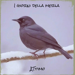 I giorni della merla