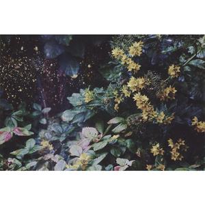 The Cytex-Ride With Me（Monster remix）