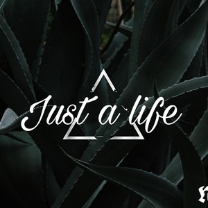 Just a life