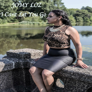 I Can't Let You Go