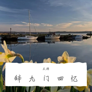 辞九门回忆（翻自 等什么君）