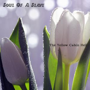 Earth Under Red Skies