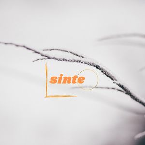 Sinte
