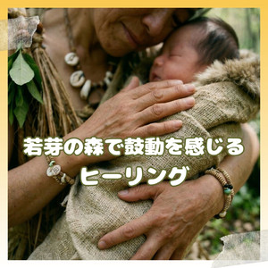 風と光のゆりかご