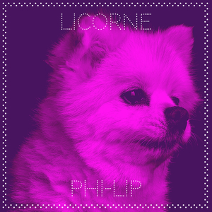 Licorne