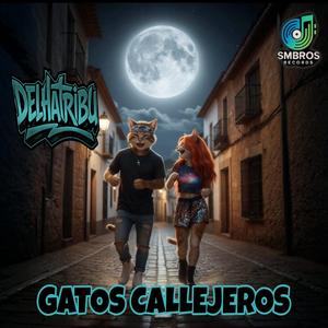 Gatos Callejeros
