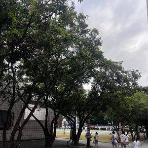 今夜赏玥（prod by Gr33nart beat）