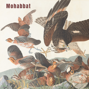 Dil Kehta Hai Jara Unse Mil