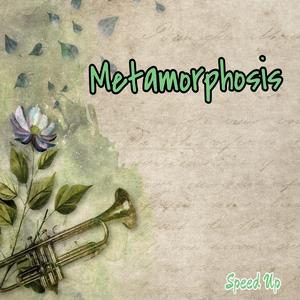 Metamorphosis (Speed Up)
