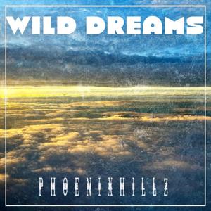 Wild Dreams (feat. B!B!, BigBoiNate, Seunathan, Juseinny & IDJ)