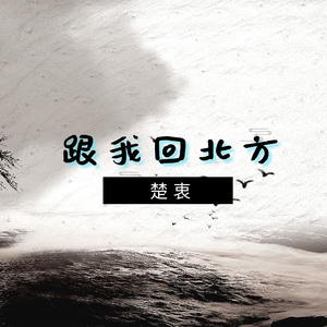 跟我回北方