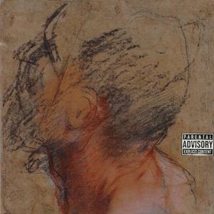 sometimes i hate rap