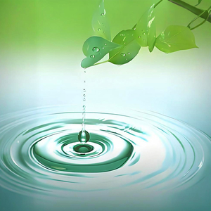 夏天的风吹到了秋天 (治愈钢琴曲)