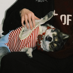 《布丁情书（Puppy Love Rap）》