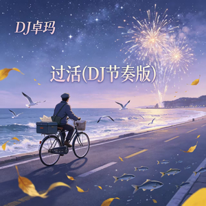 过活(DJ节奏版)