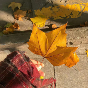 思念是具像化（钢琴）