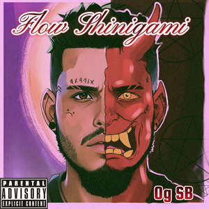 Flow Shinigam