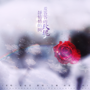 羞答答的玫瑰静悄悄地开