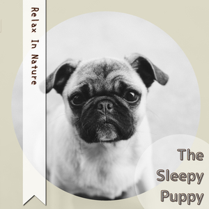 Bubbles for the Soul