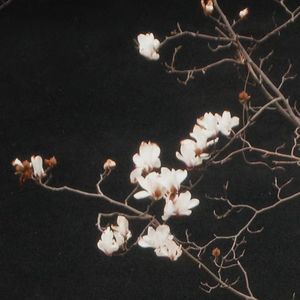 Clumsy Boy (Prod.Gr33nartBeats)