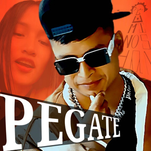 PEGATE