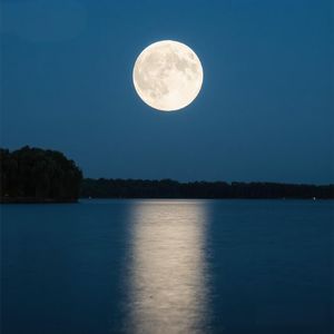 竹影随风伴月光