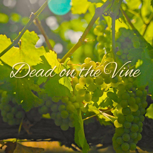 Dead on the Vine