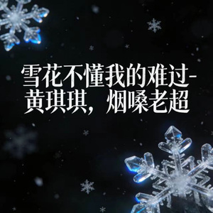 雪花不懂我的难过