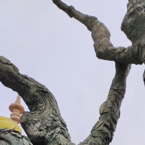 愿所有美好如期而至