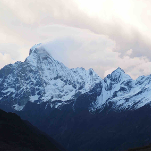 刘惜君-蔷薇映画馆（蒋阿如 remix）