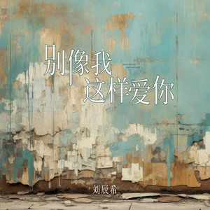 别像我这样爱你