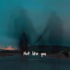 Not Like You (feat. JB John)