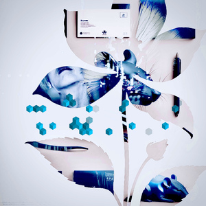 恋人が残りの人生で打つ心拍の回数について