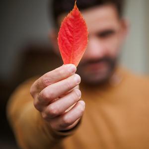 Angelozo Modi (Demo )