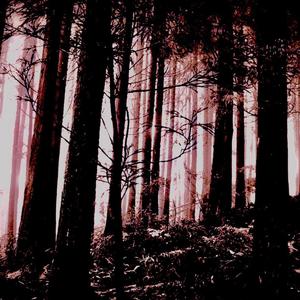 g33ked out on sum (slowed+pitched down)