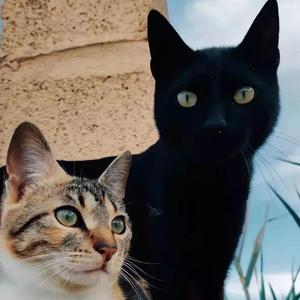 活得潇洒-Calvin_tin.、絮萌