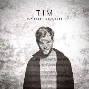 Avicii-Shame on Me（HucciI remix）