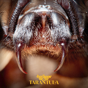 Tarantula
