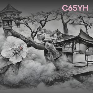 C65YH