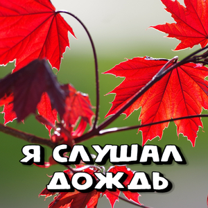 Я слушал дождь