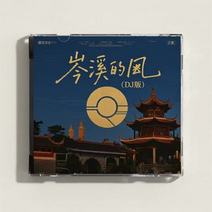 岑溪的风 (DJ版)