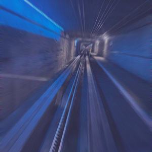 everyone's screaming